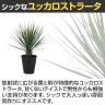 観葉植物 人工樹木 フェイクグリーン 造花 ユッカ・ロストラータ 高さ700mm 鉢:SA-7(BK)-3