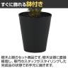 観葉植物 人工樹木 フェイクグリーン 造花 ユッカ・ロストラータ 高さ700mm 鉢:SA-7(BK)-4