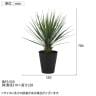 観葉植物 人工樹木 フェイクグリーン 造花 ユッカ・ロストラータ 高さ700mm 鉢:SA-7(BK)-6