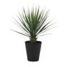 観葉植物 人工樹木 フェイクグリーン 造花 ユッカ・ロストラータ 高さ700mm 鉢:SA-7(BK)-19