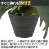 観葉植物 人工樹木 フェイクグリーン 造花 コウモリラン 高さ500mm 鉢:PラウンドS(BK) 卓上-4