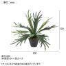 観葉植物 人工樹木 フェイクグリーン 造花 コウモリラン 高さ500mm 鉢:PラウンドS(BK) 卓上-6