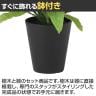 観葉植物 人工樹木 フェイクグリーン 造花 オオタニワタリ 高さ500mm 鉢:SA-6(BK) 卓上-3