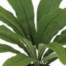観葉植物 人工樹木 フェイクグリーン 造花 タニワタリ 高さ400mm 鉢:SA-4(BK) 卓上-1