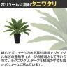 観葉植物 人工樹木 フェイクグリーン 造花 タニワタリ 高さ400mm 鉢:SA-4(BK) 卓上-2