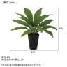 観葉植物 人工樹木 フェイクグリーン 造花 タニワタリ 高さ400mm 鉢:SA-4(BK) 卓上-5