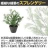 観葉植物 人工樹木 フェイクグリーン 造花 スプレンゲリー 高さ400mm 鉢:PラウンドS(BK) 卓上-2