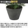 観葉植物 人工樹木 フェイクグリーン 造花 スプレンゲリー 高さ400mm 鉢:PラウンドS(BK) 卓上-3