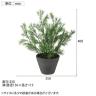 観葉植物 人工樹木 フェイクグリーン 造花 スプレンゲリー 高さ400mm 鉢:PラウンドS(BK) 卓上-5