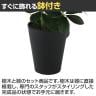 観葉植物 人工樹木 フェイクグリーン 造花 グリーンカポック Mサイズ 高さ500mm 鉢:SA-5(BK) 卓上-3