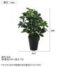 観葉植物 人工樹木 フェイクグリーン 造花 グリーンカポック Mサイズ 高さ500mm 鉢:SA-5(BK) 卓上-5