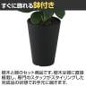 観葉植物 人工樹木 フェイクグリーン 造花 グリーンカポック Sサイズ 高さ350mm 鉢:SA-4(BK) 卓上-3