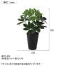 観葉植物 人工樹木 フェイクグリーン 造花 グリーンカポック Sサイズ 高さ350mm 鉢:SA-4(BK) 卓上-5