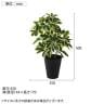 観葉植物 人工樹木 フェイクグリーン 造花 イエローカポック Mサイズ「 高さ500mm 鉢:SA-5(BK) 卓上-5