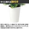観葉植物 人工樹木 フェイクグリーン 造花 ボックスウッド 高さ350mm 鉢:SA-4(WH) 卓上-3