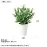 観葉植物 人工樹木 フェイクグリーン 造花 ボックスウッド 高さ350mm 鉢:SA-4(WH) 卓上-5