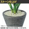 観葉植物 人工樹木 フェイクグリーン 造花 プテリス 高さ400mm 鉢:Pスクエア(BK) 卓上-4