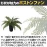 観葉植物 人工樹木 フェイクグリーン 造花 ボストンファン 高さ300mm 鉢:SA-4(BK) 卓上-2