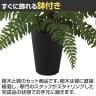 観葉植物 人工樹木 フェイクグリーン 造花 ボストンファン 高さ300mm 鉢:SA-4(BK) 卓上-3