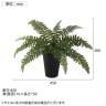 観葉植物 人工樹木 フェイクグリーン 造花 ボストンファン 高さ300mm 鉢:SA-4(BK) 卓上-5