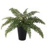 観葉植物 人工樹木 フェイクグリーン 造花 ボストンファン 高さ300mm 鉢:SA-4(BK) 卓上-19
