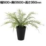 観葉植物 人工樹木 フェイクグリーン 造花 ヒリュウシダ 高さ350mm 鉢:SA-4(BK) 卓上
