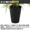 観葉植物 人工樹木 フェイクグリーン 造花 ヒリュウシダ 高さ350mm 鉢:SA-4(BK) 卓上-3