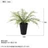 観葉植物 人工樹木 フェイクグリーン 造花 ヒリュウシダ 高さ350mm 鉢:SA-4(BK) 卓上-5