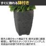 観葉植物 人工樹木 フェイクグリーン 造花 ミント 高さ300mm 鉢:Pスクエア(BK) 卓上-3