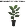 観葉植物 人工樹木 フェイクグリーン 造花 デコラゴム ルーツポット 高さ550mm 鉢:SA-4(BK) 卓上