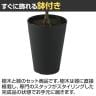 観葉植物 人工樹木 フェイクグリーン 造花 デコラゴム ルーツポット 高さ550mm 鉢:SA-4(BK) 卓上-4