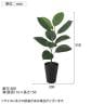 観葉植物 人工樹木 フェイクグリーン 造花 デコラゴム ルーツポット 高さ550mm 鉢:SA-4(BK) 卓上-6