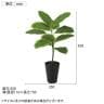 観葉植物 人工樹木 フェイクグリーン 造花 アルテシマ ルーツポット 高さ550mm 鉢:SA-4(BK) 卓上-1