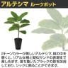 観葉植物 人工樹木 フェイクグリーン 造花 アルテシマ ルーツポット 高さ550mm 鉢:SA-4(BK) 卓上-2
