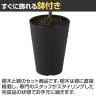 観葉植物 人工樹木 フェイクグリーン 造花 アルテシマ ルーツポット 高さ550mm 鉢:SA-4(BK) 卓上-4