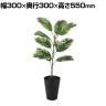 観葉植物 人工樹木 フェイクグリーン 造花 デコラトリカラー ルーツポット 高さ550mm 鉢:SA-4(BK) 卓上