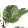 観葉植物 人工樹木 フェイクグリーン 造花 デコラトリカラー ルーツポット 高さ550mm 鉢:SA-4(BK) 卓上-1