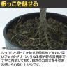 観葉植物 人工樹木 フェイクグリーン 造花 デコラトリカラー ルーツポット 高さ550mm 鉢:SA-4(BK) 卓上-3