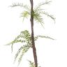 観葉植物 人工樹木 フェイクグリーン 造花 ミックスファン バイン Lサイズ 高さ1600mm-2