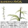 観葉植物 人工樹木 フェイクグリーン 造花 ミックスファン バイン Lサイズ 高さ1600mm-3