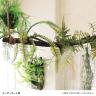 観葉植物 人工樹木 フェイクグリーン 造花 ミックスファン バイン Sサイズ 高さ1200mm-1