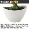 観葉植物 人工樹木 フェイクグリーン 造花 ヤマモミジ ボウル GREEN 高さ450mm 鉢:BB-25(WH) 卓上-3