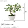 観葉植物 人工樹木 フェイクグリーン 造花 ヤマモミジ ボウル GREEN 高さ450mm 鉢:BB-25(WH) 卓上-5