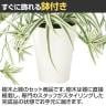 観葉植物 人工樹木 フェイクグリーン 造花 オリヅルラン W/G 高さ300mm 鉢:SA-4(WH) 卓上-3