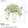 観葉植物 人工樹木 フェイクグリーン 造花 オリヅルラン W/G 高さ300mm 鉢:SA-4(WH) 卓上-5