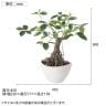 観葉植物 人工樹木 フェイクグリーン 造花 ガジュマル ボウル 高さ500mm 鉢:BB-25(WH) 卓上-5