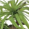 観葉植物 人工樹木 フェイクグリーン 造花 チランジア スタンプウッド 高さ250mm 卓上-1