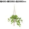 観葉植物 人工樹木 フェイクグリーン 造花 ライムポトス ブッシュ 鉢:HP-15(WH) ハンギング植栽 ハンギングポット 吊り下げポット 高さ850mm