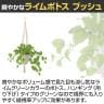 観葉植物 人工樹木 フェイクグリーン 造花 ライムポトス ブッシュ 鉢:HP-15(WH) ハンギング植栽 ハンギングポット 吊り下げポット 高さ850mm-3