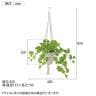 観葉植物 人工樹木 フェイクグリーン 造花 ライムポトス ブッシュ 鉢:HP-15(WH) ハンギング植栽 ハンギングポット 吊り下げポット 高さ850mm-5
